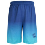 Workout Shorts